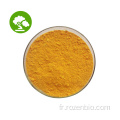 Coenzyme de haute qualité Q10 Powder Q10 Coenzyme